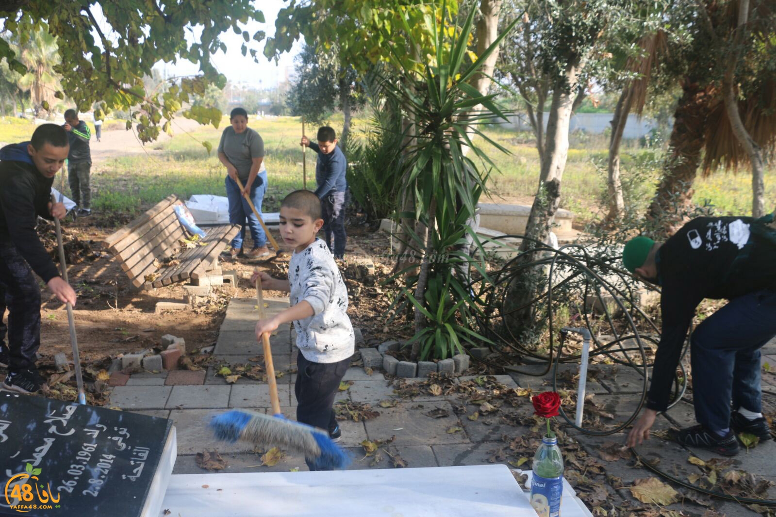 taso 23 tendedf (48).jpg